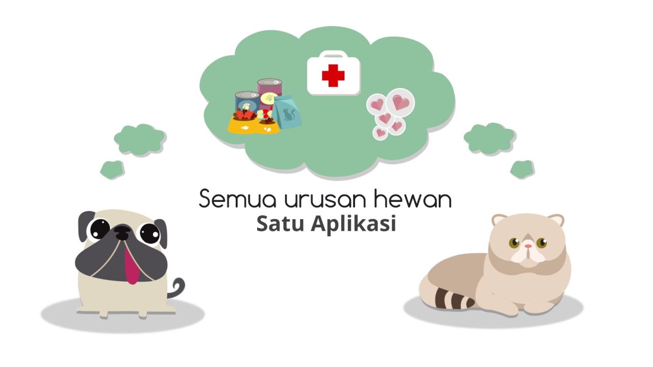 PETO the best app for pets