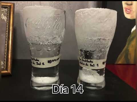 PPA2 - Formación