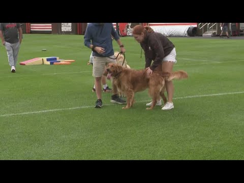 Cleveland Browns hosting party for 'Barking Backers': Mike Polk Jr. checks out the fun