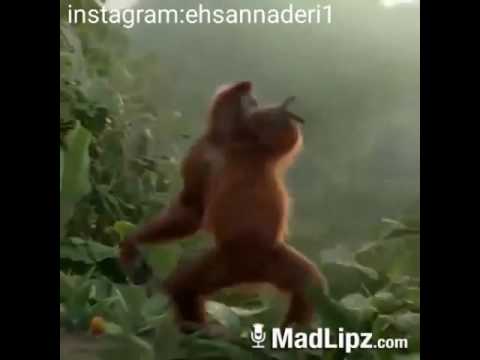 حتما ببینید بهترین هدیه واسه عزیزانتان