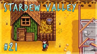 stardew valley chickens