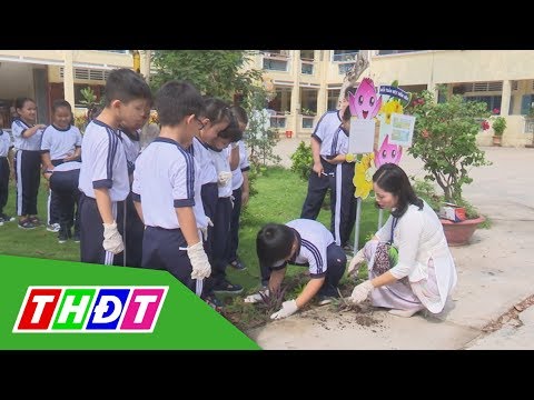 Video Hội đồng chuyên môn nâng cao chất lượng dạy học Tiểu... - YouTube