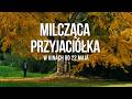 Milcząca przyjaciółka w kinach od 22 maja 🎬