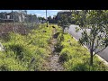 Is this the WORLD&#39;S WORST maintained footpath? I clean it up for the public to use!