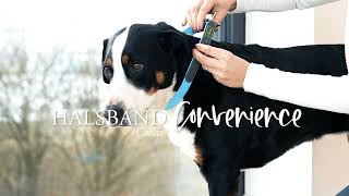 【犬用首輪】コンビニエンス【HUNTER】