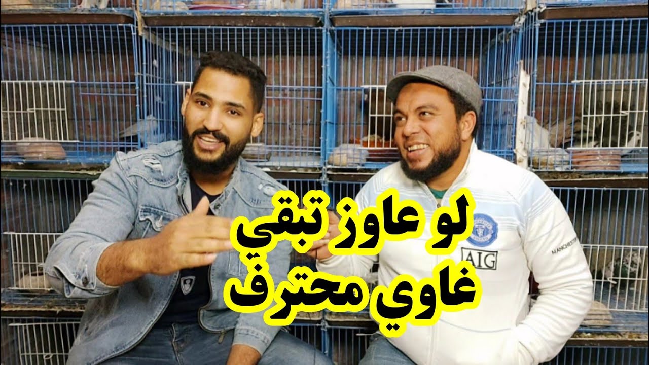 أجمل كلام عن فرخ الحمام وازي تكون غاوي حمام محترف في زيارتي عند ابو مريم التونسي
