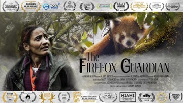 Finding a RED PANDA Cub in Nepal