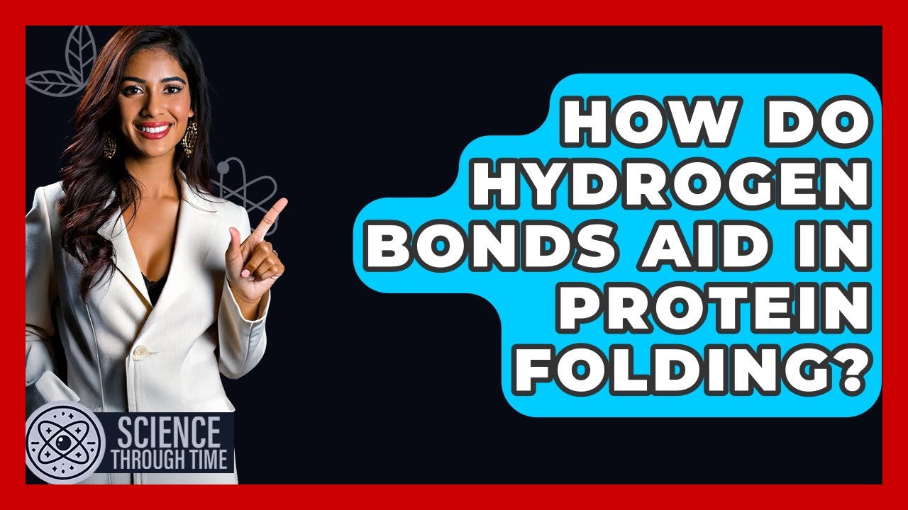 How Do Hydrogen Bonds Aid In Protein Folding? - Science Through Time