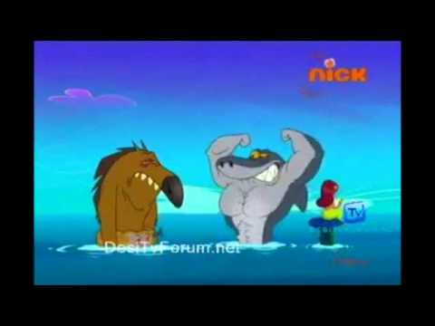 Shark muscles