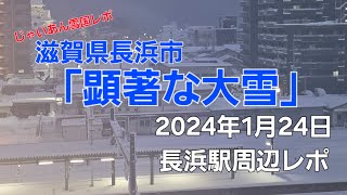 顕著な大雪【2024年1月24日午後：滋賀県長浜市】