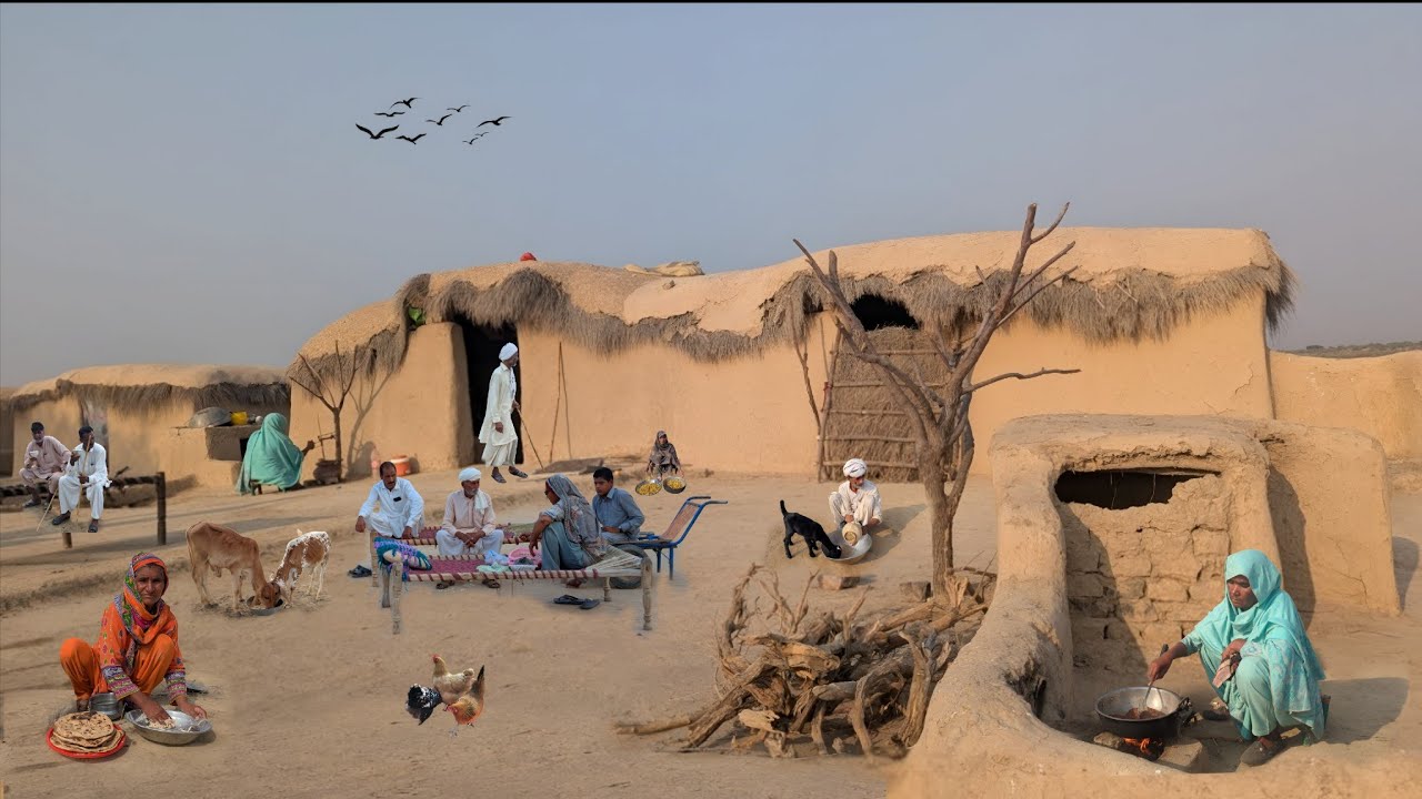 Beautiful Day in Rural Natural | Village Women Morning Routine | in Pakistan Village Life