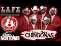 La Fe Norteña De Toño Aranda - Las Más Chingonas iLove Norteñas edit 2020 / Sax Pala Raza Vip