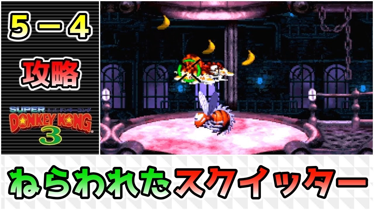 スーパードンキーコング3 Dkコイン ボーナスコイン Kongパネル その他アイテム取得 ５ ４ ねらわれたスクイッター 攻略 Sfc Youtube