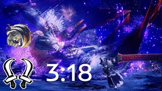 【MHR:SB】PC 傀異克服：天迴龍 雙劍 3&#39;18&quot;38 /傀異克服シャガルマガラ 双剣 盟友あり