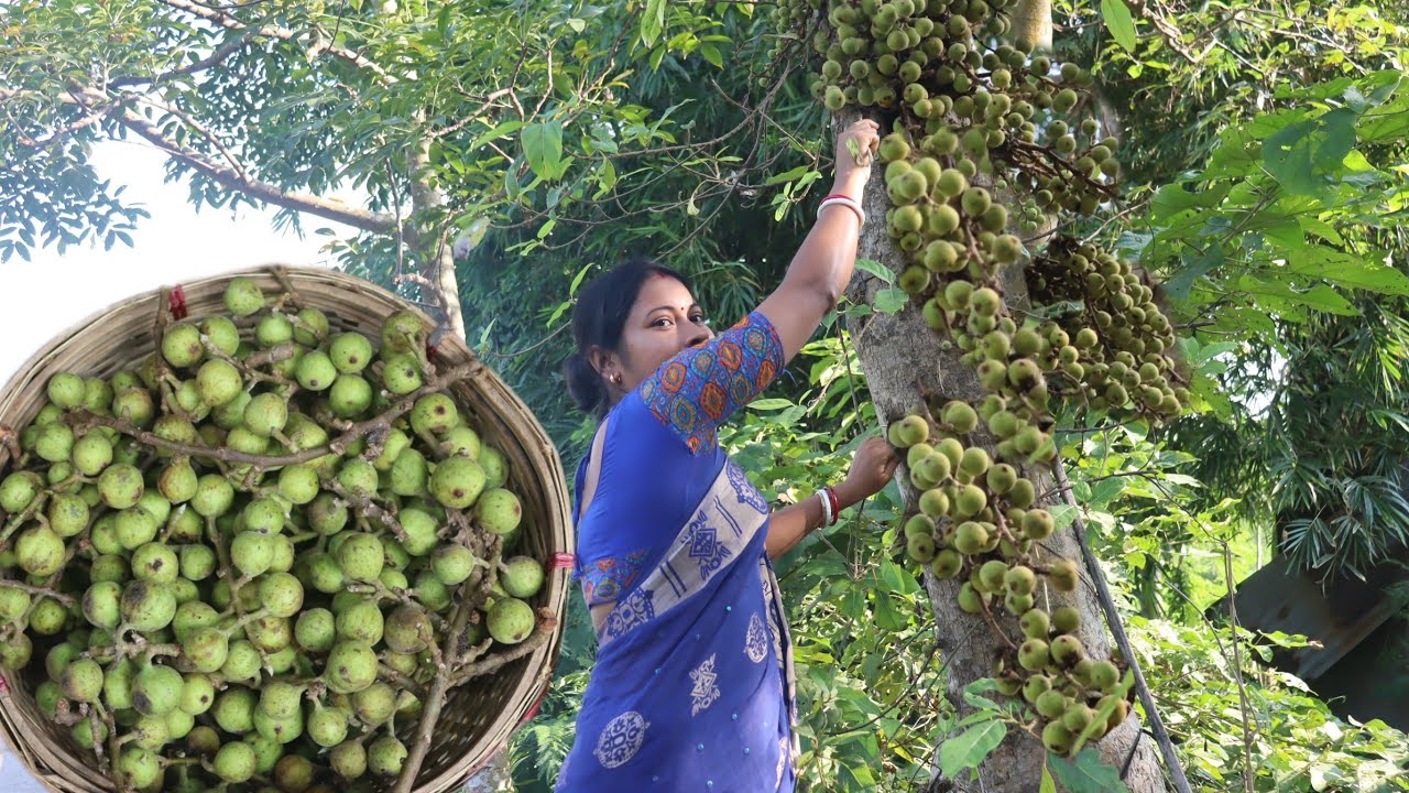 Village Food || দারুন সুস্বাদু এবং স্বাস্থকর নিরামিষ ডুমুরের রেসিপি বাংলা ||Healthy&tasty FIG recipe