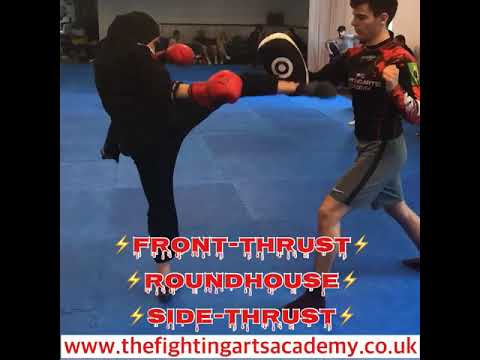 Front Thrust, Roundhouse, Side-Thrust