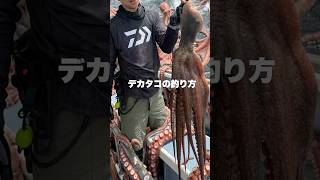 デカタコの釣り方。 #short #shorts