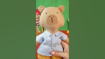 Thử làm capybara bông mũi phồng - Thú Bông Vải Tiệm Tạp Hóa Nhà May