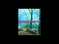 Fell Down a Hole - Wolfmother (Performed by Vitamin String Quartet)