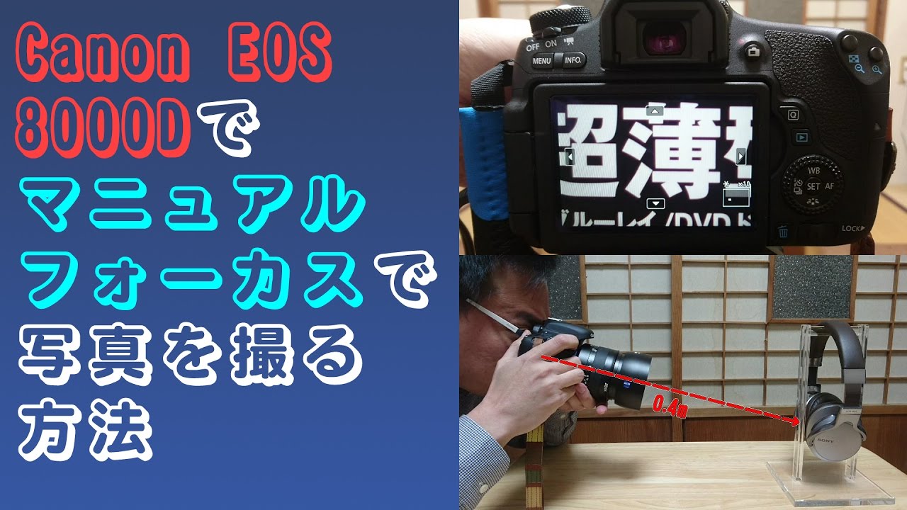 カメラ機能紹介】Canon EOS 8000Dでマニュアルフォーカスで写真を撮る