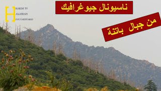 غابات الجزائر العميقة وثائقي ناسيونال جيوغرافيك من جبال ولاية باتنة