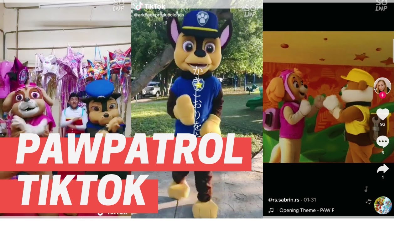 paw-patrol-la-pat-patrouille-tiktok-fan-youtube