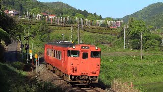 山口線 キハ40　青野山の鯉のぼり　2026.5