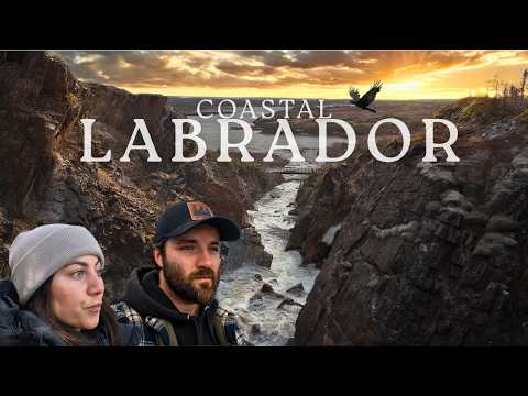 Driving Across The Country To The Labrador Coast | Iceberg Alley & East Coast Hospitality | Ep.4