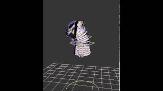 Spine rig.mov