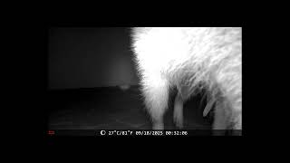 DSCF0063 2