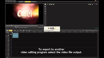 MotionStudio3D Export