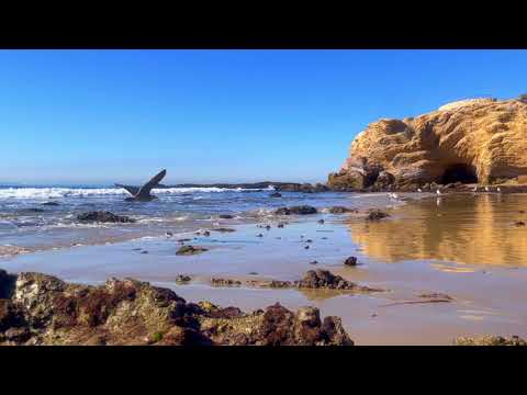 صدای امواج اقیانوس آرامش بخش کالیفرنیا برای خواب عمیق بدون موسیقی سر و صدای سفید صداهای طبیعت 