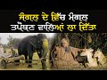 Jangal de vich mangal tapoban valeyan la dita  tapoban parkash diwas  22 feb tapoban dhakki sahib