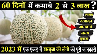 When and how to cultivate muskmelon? Muskmelon Farming screenshot 1