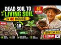 Dead Soil to Living Soil in 48 Hours — $1 Recipe Korean Farmers Perfected Over 3,000 Years