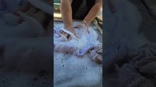 Ibarra Blanca Y Cloralen Bleach