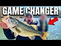 Cold Water Bass Fishing Bait Every Angler Needs NOW!