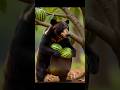 dog save plant #shortvideo #cartton #comedy #trending #viralshort #aishorts #viralvideo