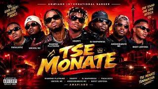 TSE MONATE 🔥 | Diamond Platnumz, Xduppy, DJ Maphorisa, Focalistic & More | Amapiano 2026 fan made