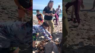 Surf Skate Science