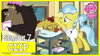 Fluttershy Visits Dr. Fauna Fluttershy Leans In Mlp Fim Hd