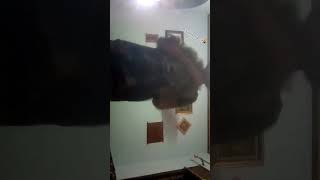 like and subcribe okey👌