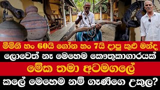 මීමිනි හං 60යි ගෝන හං 7යි දාපු කුළු මන්ද | ලොවෙත් නෑ මෙහෙම කෞතුකාගාරයක් | මේක තමා අටමගලේ