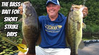 THE BASS BAIT FOR SHORT STRIKE DAYS- Bass tips & tactics