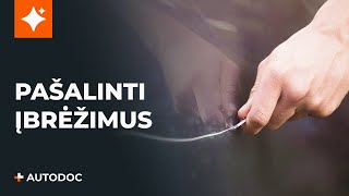 Kaip pakeisti Dirzas pleistiskas polifoninis SKODA Octavia III Combi (5E5) 1.6 TDI - keitimo patarimai