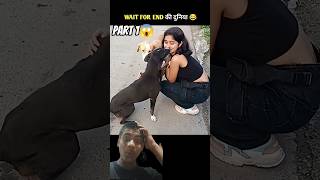 "End Tak Dekhna 😱 Ye Animal Jo Karta Hai Us Par Koi Yakeen Nahi Karega 😂🐶 #shorts