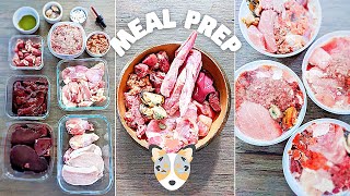 How I Meal Prep Raw Food For My Dog (Full Week)