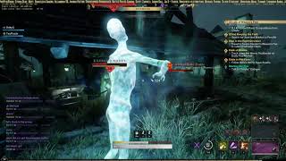 He got mobbed New World PVP