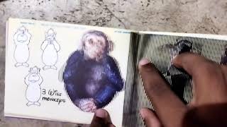 3D Magic Alphabets Learning & Drawing Book