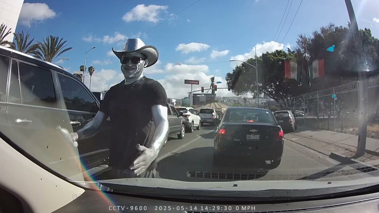 Mimo de Plata-Limpiaparabrisas